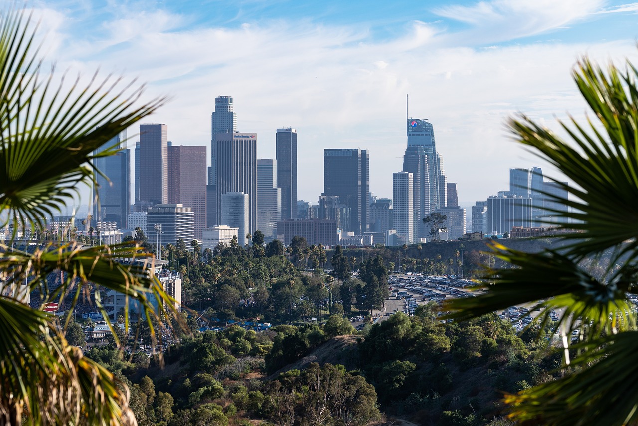 Downtown Los Angeles skyline viewed from a hillside, with tall skyscrapers framed by palm trees, green parkland in the foreground, and a clear blue sky above.